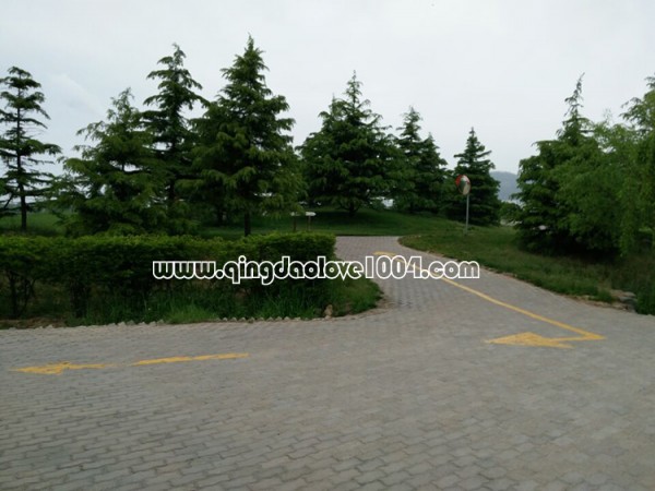 f059d181564c6873515da198b0297e8a_1494819