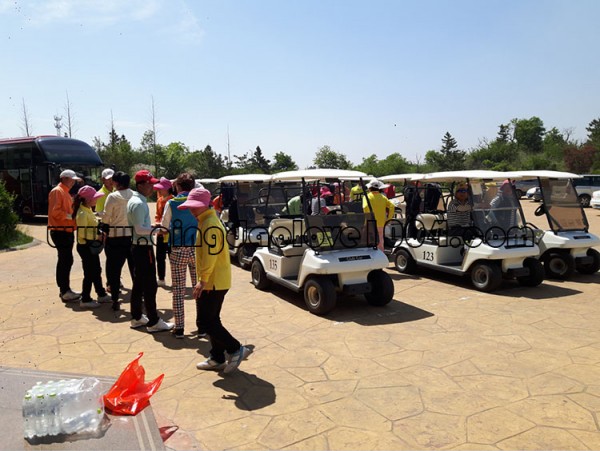 9533aaac11aaae01d64385f3782434c1_1527285