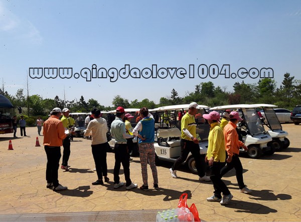 9533aaac11aaae01d64385f3782434c1_1527285