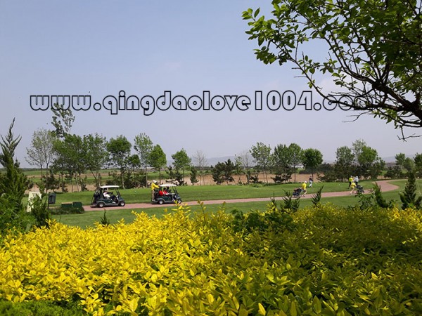 b2dfd921f1ad1e0882046b68d80d2cdf_1527721