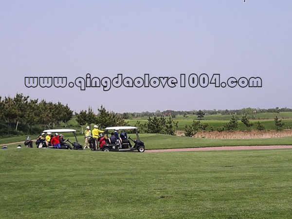 b2dfd921f1ad1e0882046b68d80d2cdf_1527721