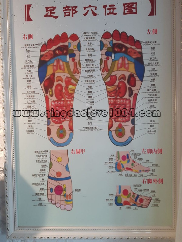 0d38c53a7489a8f94ae1c04e9a5c393c_1534379