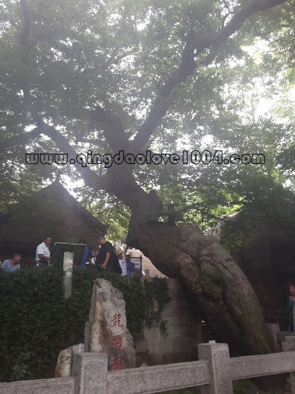 dfdb0f088ea4f8f8a7c75ddd9bf648c7_1534753