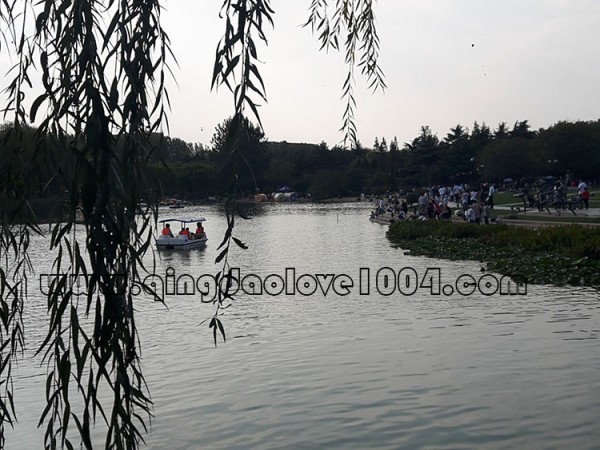 810b0ffe1c447ce5675a693789cfc4c0_1538776