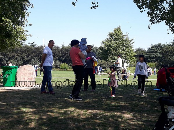 810b0ffe1c447ce5675a693789cfc4c0_1538776