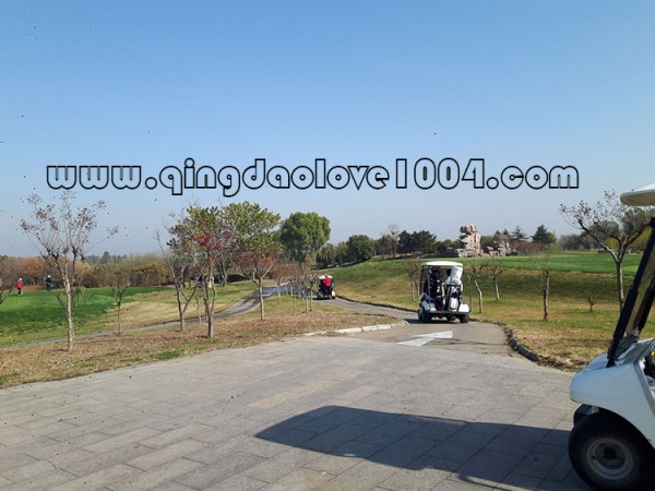 30ac8d4a0866fb7b21f7e3bdac934f80_1541926