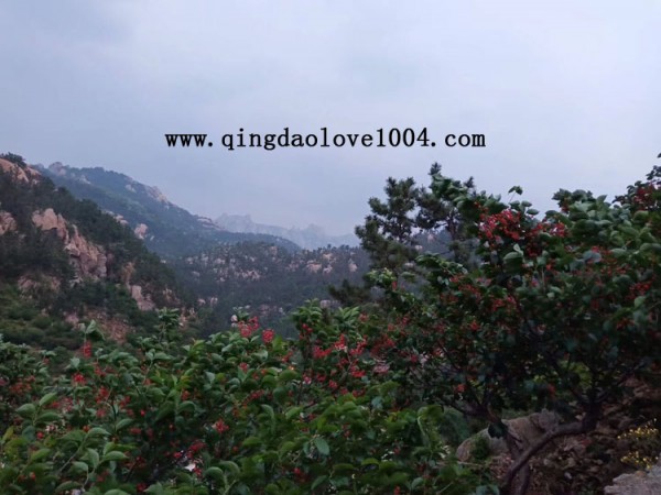 4d3b7b3420f74427cbc9a9d77da453ff_1558389