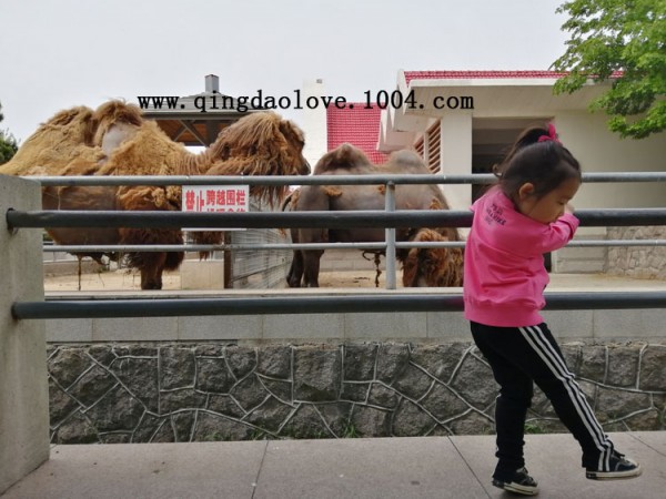 ae70071ac97cea8f119b9c3f817ba5fe_1558127