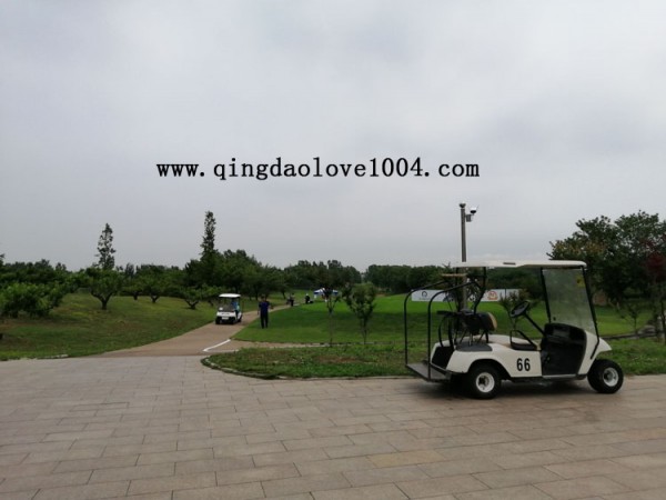 8089143b1b2e7addae1421f8dc59e711_1560807