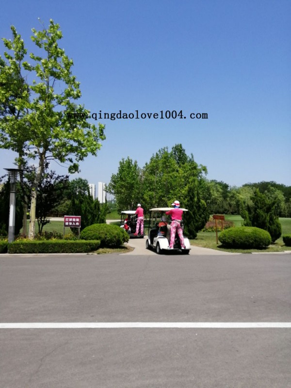 8918fe861e17ad46769ecfd301d417bd_1560734