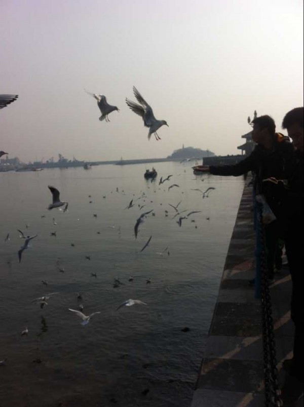 310d875173f6ffdc7188cfa4acc776e8_1581643