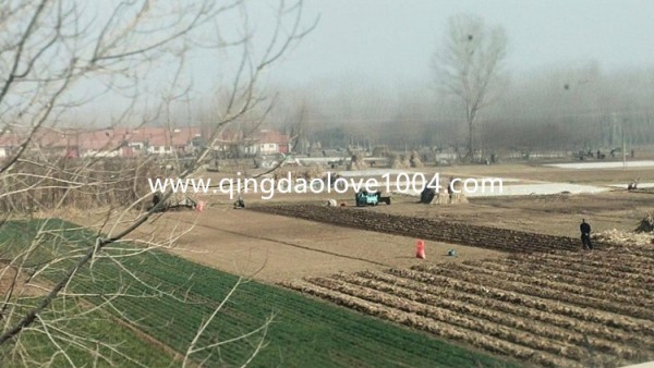 cfa4e0f1a1334c3887c881ed1a9f0201_1616280