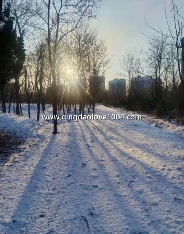 93bd2820b85acf3cb984d9adeb40fba9_1640058