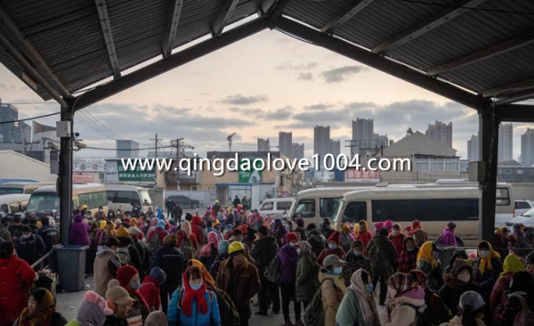 af0010209df66a47808c294cc93ed5e8_1641451