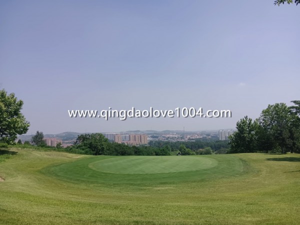 194824965e1300fa1552686218489dd7_1718157