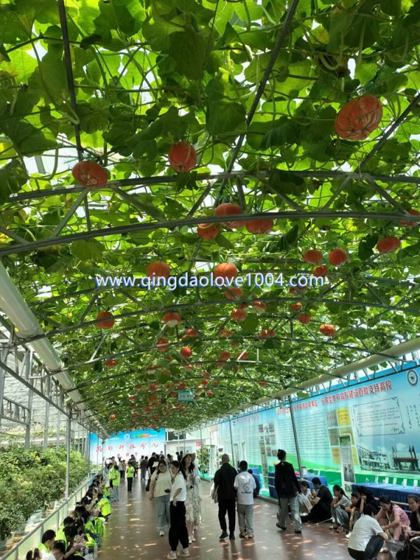 1ac0949b01f89e74c29d403aece0e179_1747783