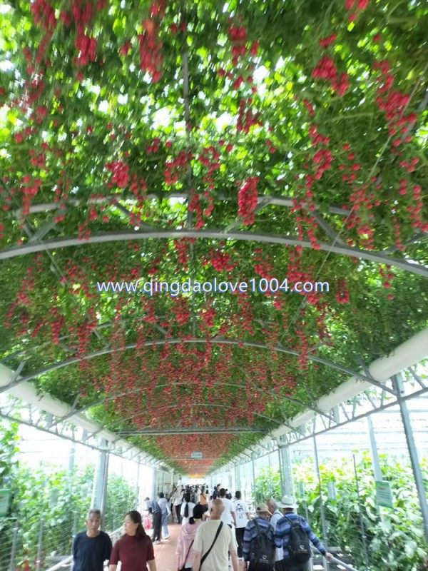 1ac0949b01f89e74c29d403aece0e179_1747783