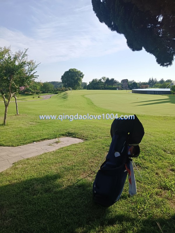 8719ab22d1d69bd38bee8ae5873e909d_1753064