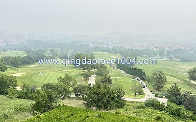 천태cc