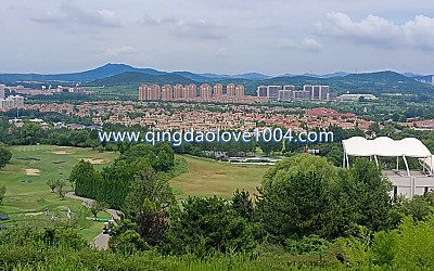 천태cc