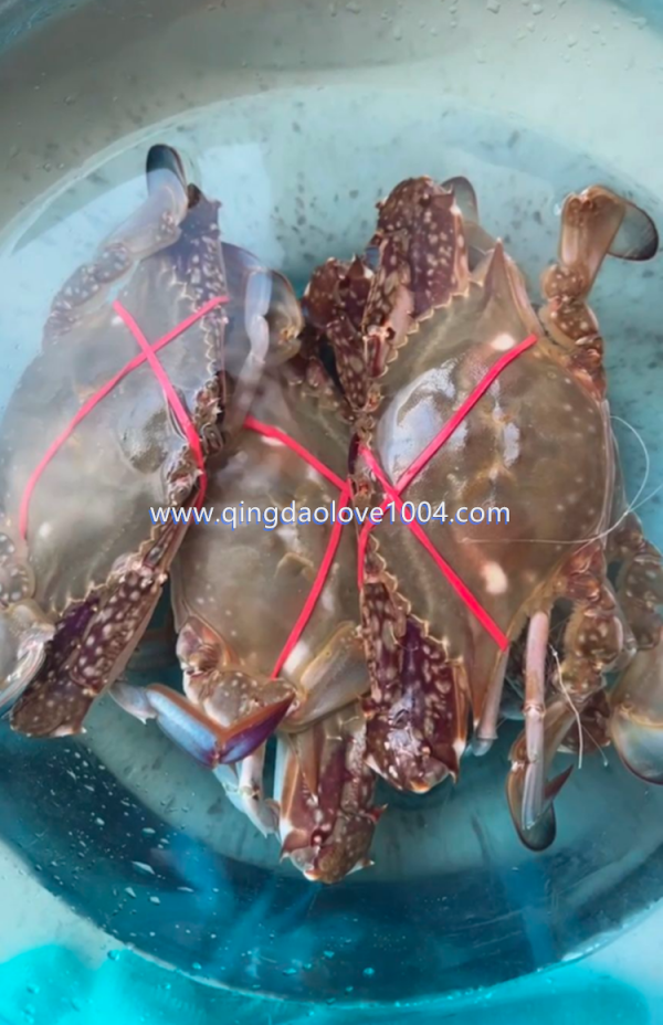 0f62ab49d2593b506f0f6fc5d892eb00_1759099