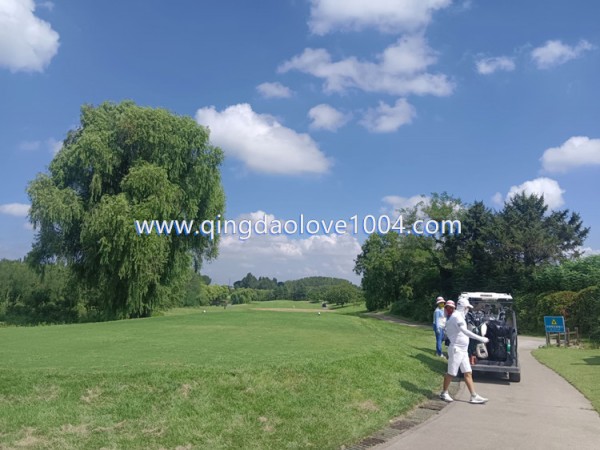 9f6d78b0b6898df80cd796c9ac7810f8_1757548