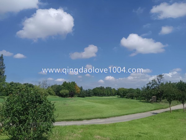 9f6d78b0b6898df80cd796c9ac7810f8_1757548