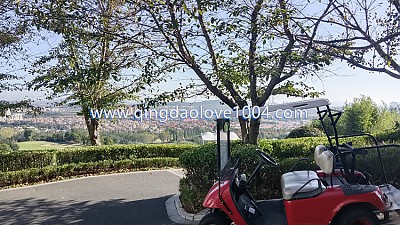 천태 아침골프 좋은점