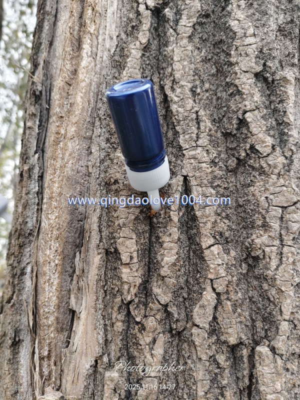 27668e8d4106e333f80d7290e9aadf3b_1763417