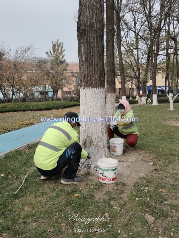 27668e8d4106e333f80d7290e9aadf3b_1763417