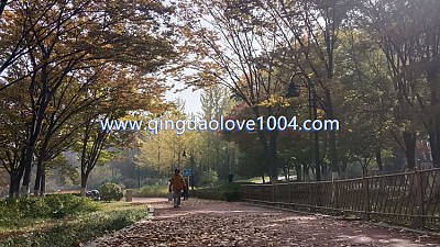 칭다오날씨는 ?