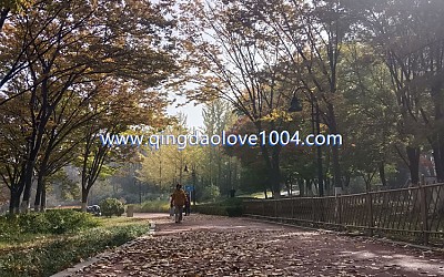 칭다오날씨는 ?