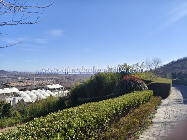 2627f6c9114947feb92dfc3bb356a082_1766526