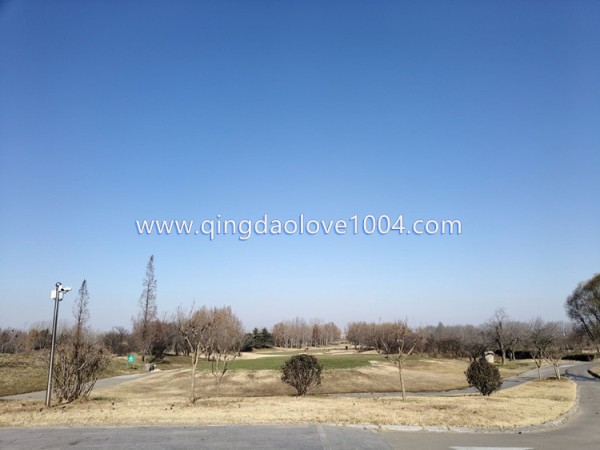 4fea162af21aa15f1b80cc4cc9a45634_1765147