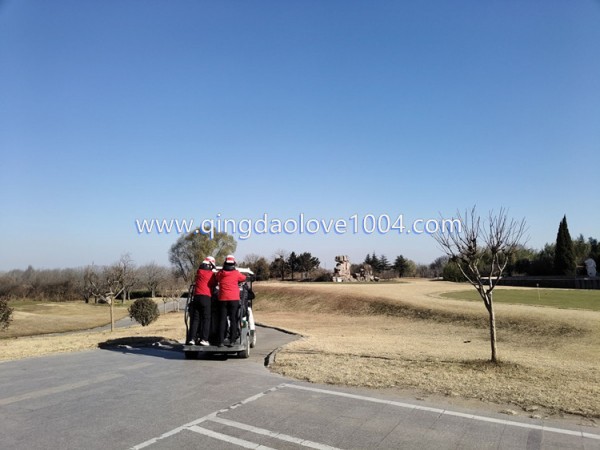 b6f774f7809bdb1b524947c7cba6a66b_1766363