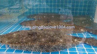 오늘은 간단히 회로 갑니다.