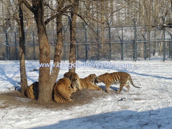 d89a37511175d6d0ec83fedbae7482bd_1767058