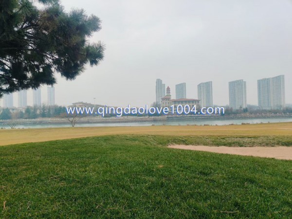 4bbe4ba8cc922f8eb287b4c80c2b5c50_1768081