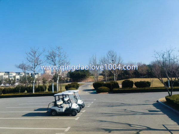 6034b44f49c7697dd8474597dfcb964e_1768522