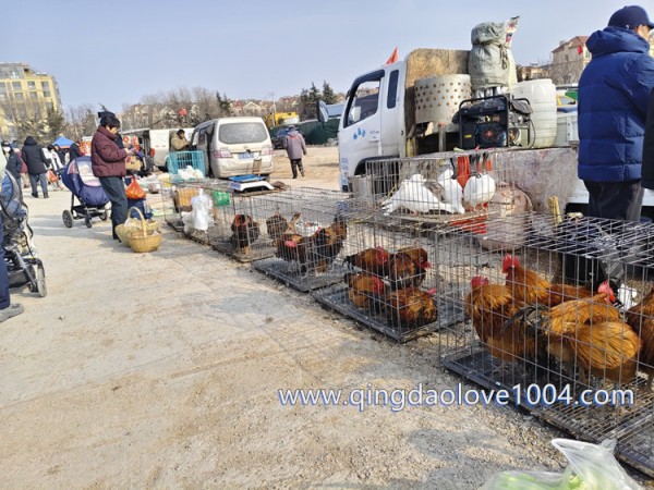 856f8042a65428ce70163adb6770ead4_1769384