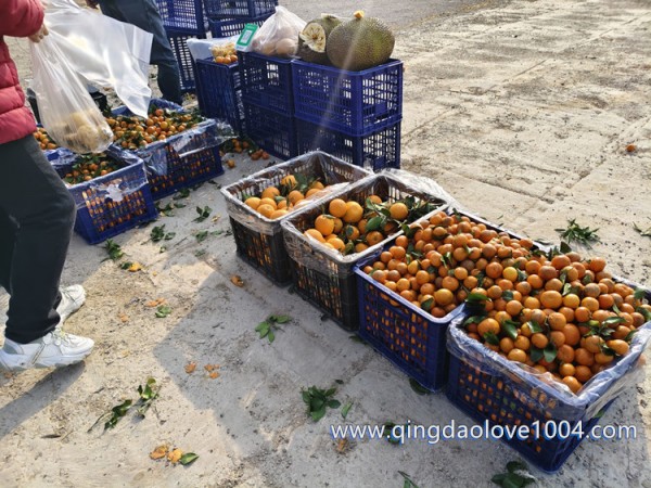 856f8042a65428ce70163adb6770ead4_1769384