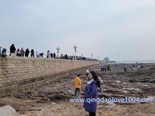 48fe2e6e18a142fd9866d4c57a492d70_1770504