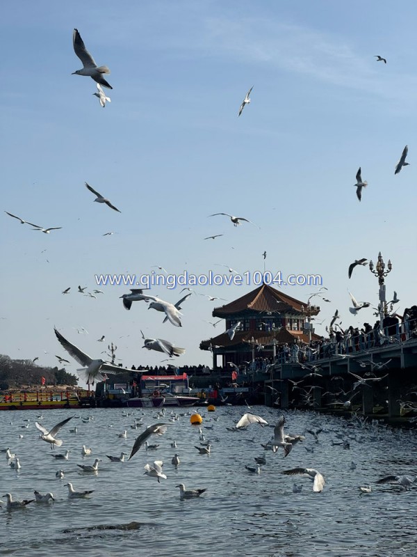 ba8ff490e82e687870f27b56b066b267_1771804