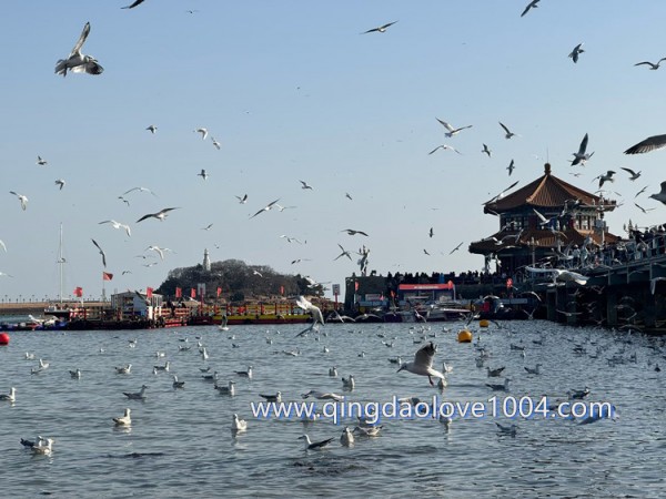 ba8ff490e82e687870f27b56b066b267_1771804