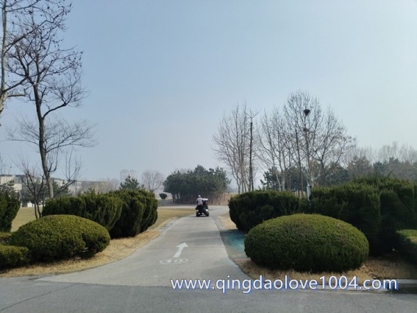 610dea9f8b7ffd282b4e8cf8517d814c_1773874