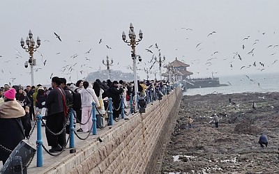 칭다오관광지에서 가장 관광객 많이 모이는곳