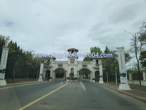 3f732286870d198416878cdbed0a7245_1777161