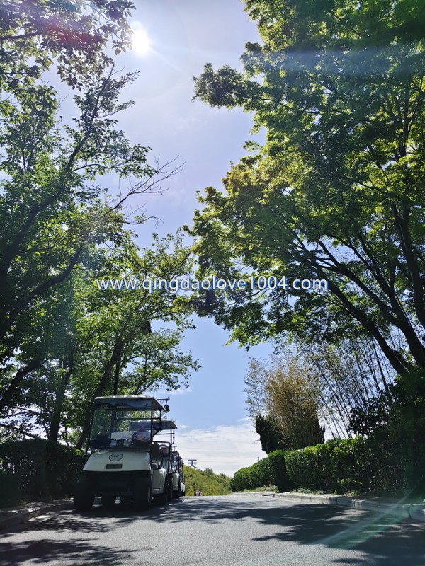 96bb4bcc16c81822089319a8891b1222_1777508