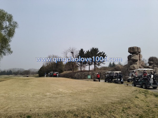 cb82b612297c9813f175c857e0573847_1775521