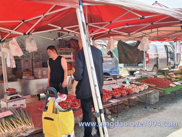 ce6a492f25b6b8090205f848b6295a1a_1776811